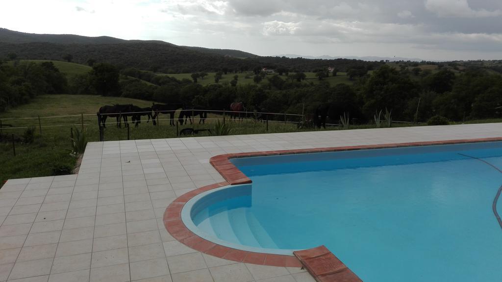 Agriturismo Collelungo Di Maremma Diaccialone 外观 照片