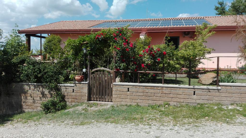 Agriturismo Collelungo Di Maremma Diaccialone 外观 照片