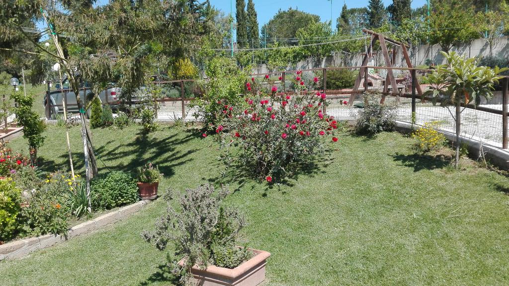 Agriturismo Collelungo Di Maremma Diaccialone 外观 照片