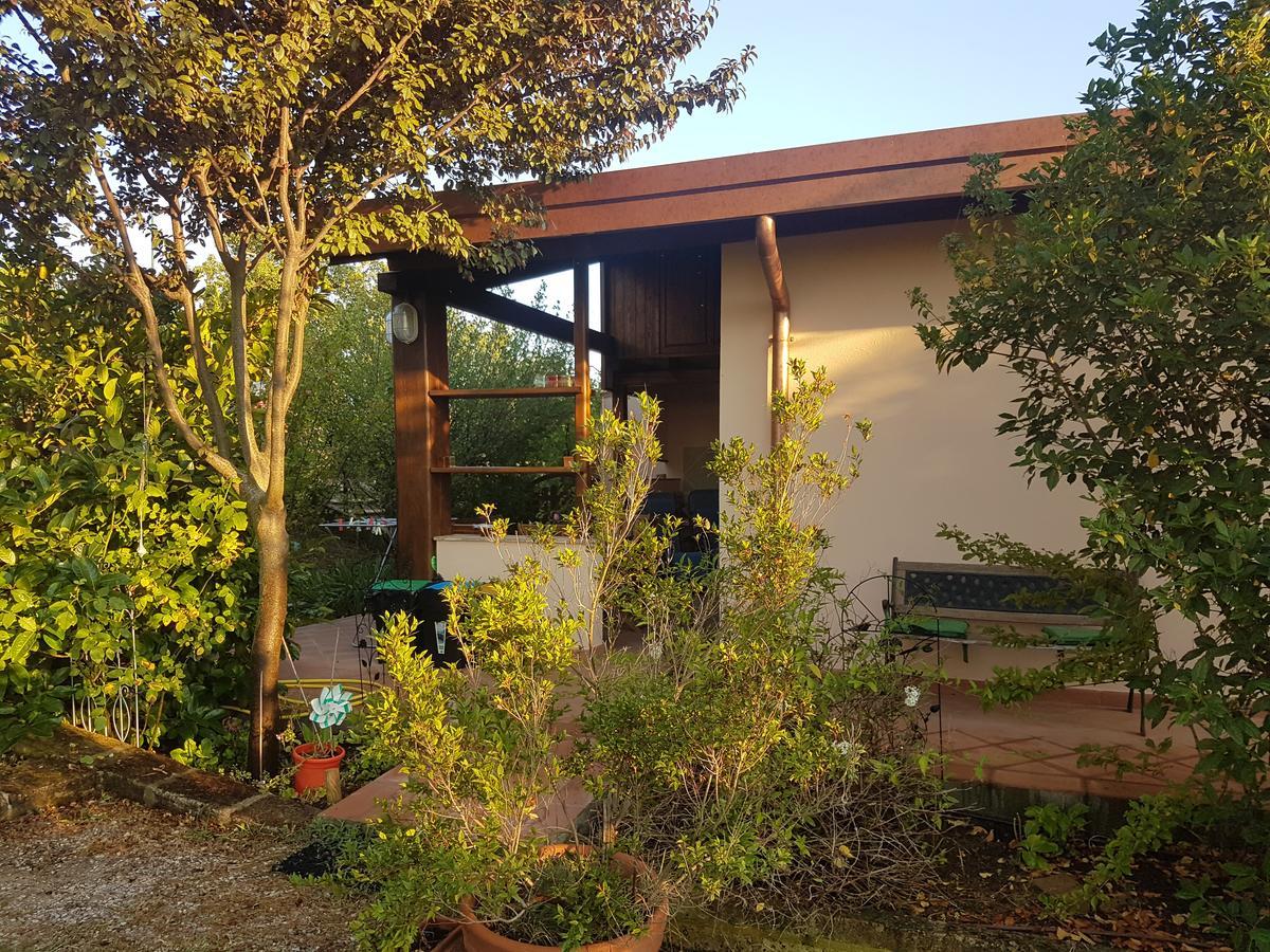 Agriturismo Collelungo Di Maremma Diaccialone 外观 照片
