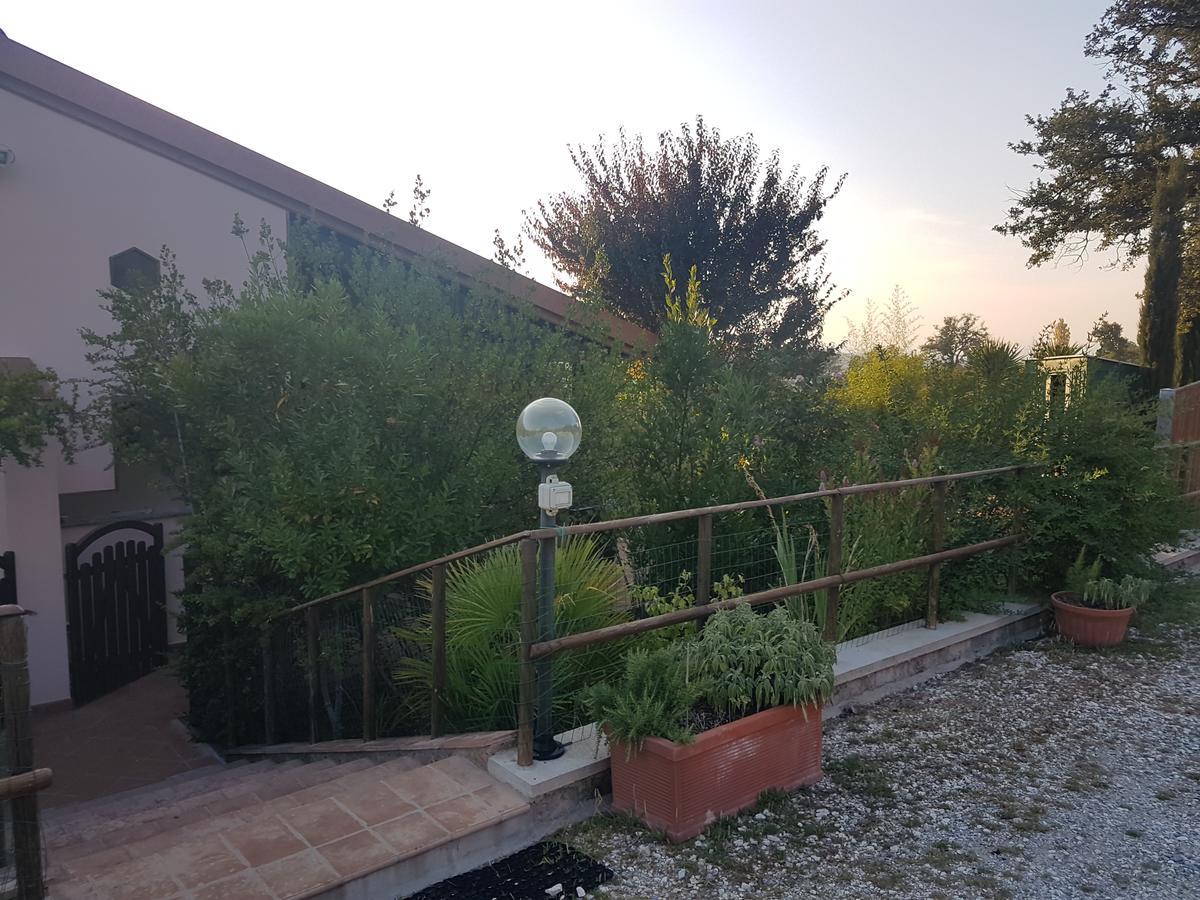 Agriturismo Collelungo Di Maremma Diaccialone 外观 照片