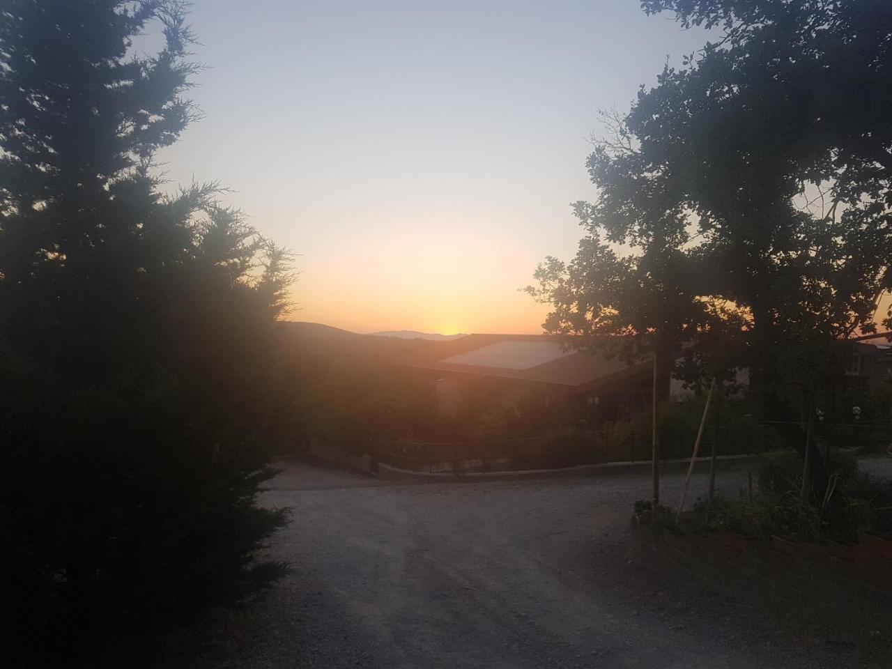 Agriturismo Collelungo Di Maremma Diaccialone 外观 照片
